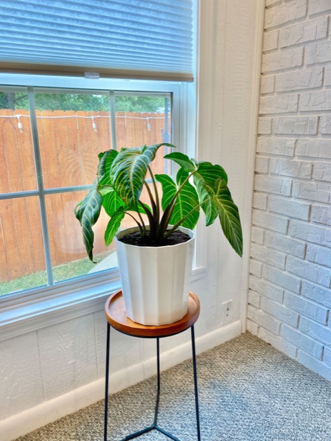 Additional photos